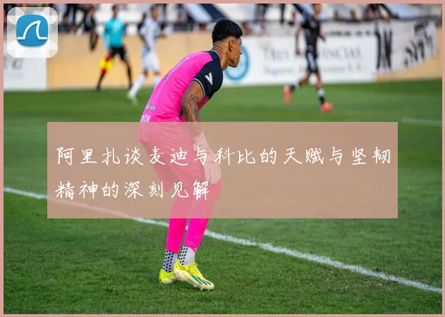 阿里扎谈麦迪与科比的天赋与坚韧精神的深刻见解