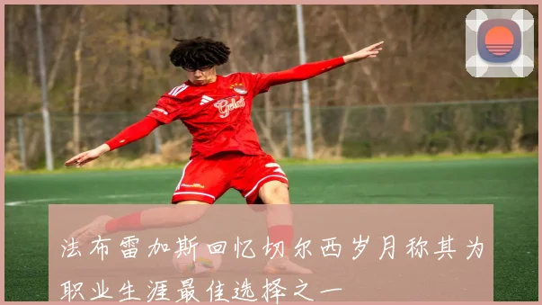 法布雷加斯回忆切尔西岁月称其为职业生涯最佳选择之一