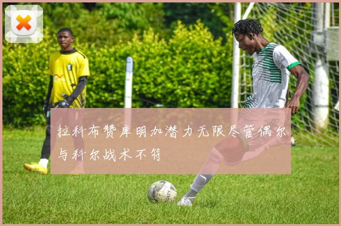 拉科布赞库明加潜力无限尽管偶尔与科尔战术不符