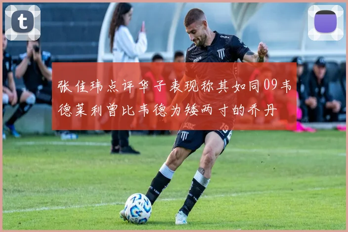 张佳玮点评华子表现称其如同09韦德莱利曾比韦德为矮两寸的乔丹